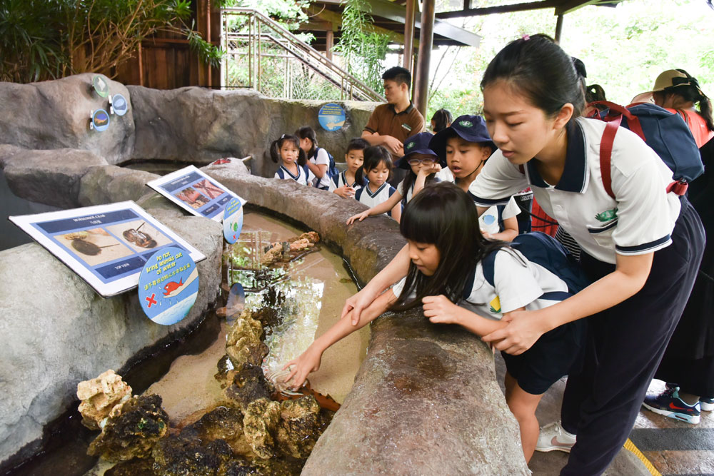 Children coming into close contact with starfishes at the touch pool (Photo by Chan May Ching)