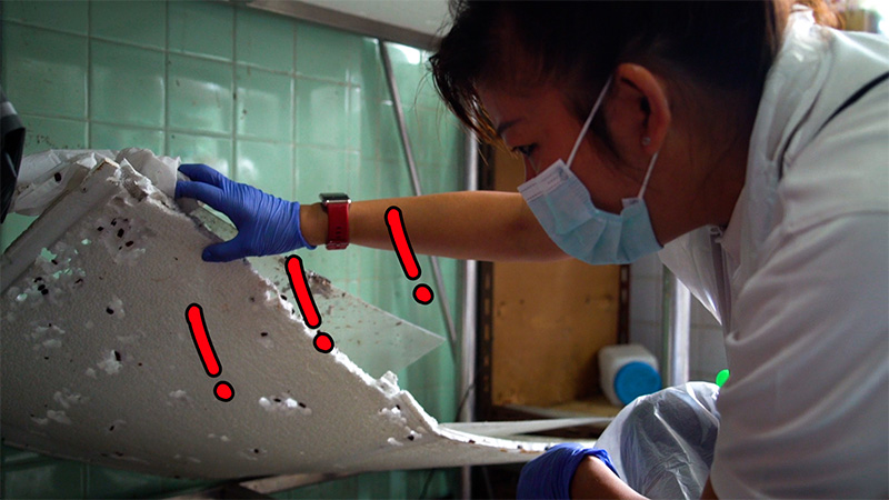 Volunteers Help Heart Failure Patient Declutter for Better Living Quality